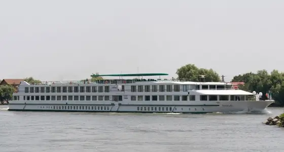 MS Vivaldi
