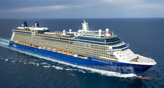Celebrity Silhouette