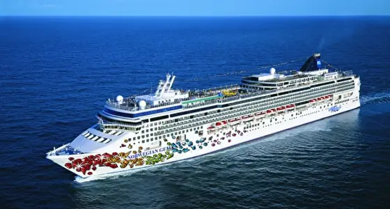 Norwegian Gem