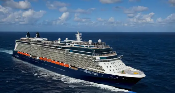 Celebrity Reflection